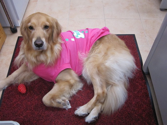 ファイル 1524-3.jpg