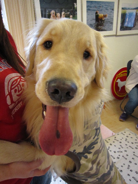 ファイル 1525-1.jpg