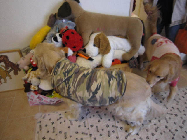 ファイル 1525-4.jpg