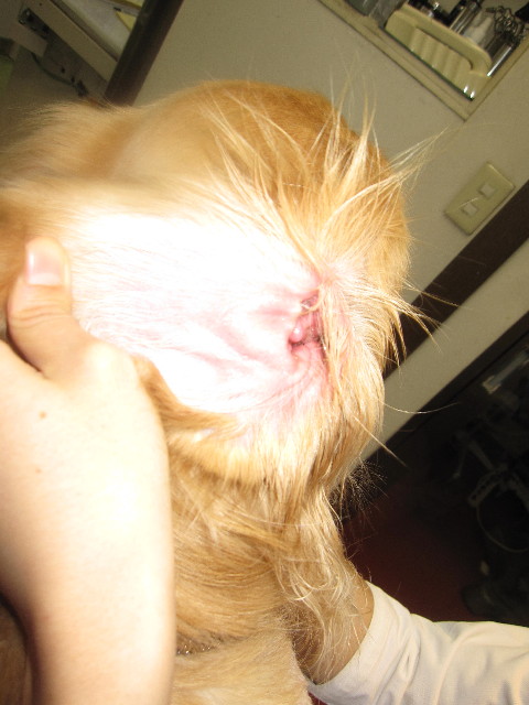 ファイル 1532-3.jpg