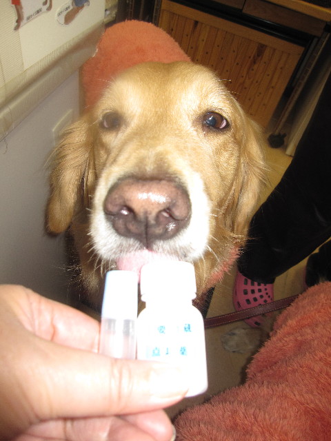 ファイル 1532-5.jpg