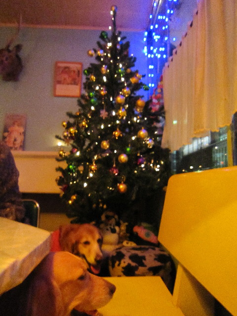 ファイル 1535-2.jpg