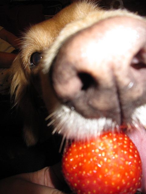 ファイル 1535-4.jpg