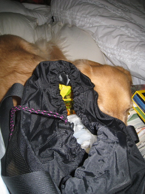 ファイル 1537-2.jpg