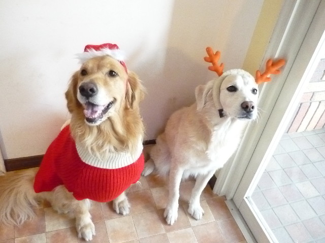 ファイル 1538-2.jpg