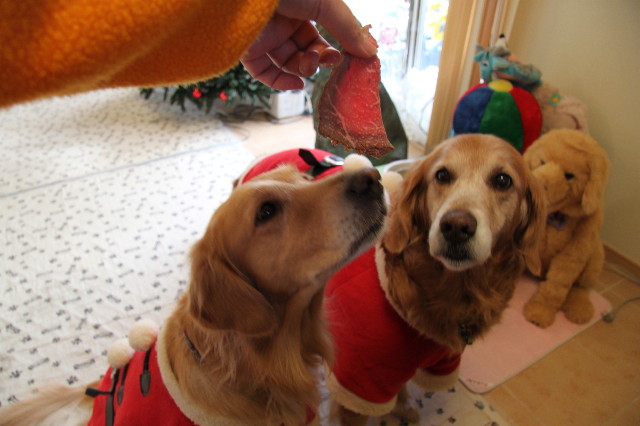 ファイル 1541-5.jpg