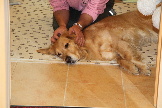 ファイル 1543-5.jpg