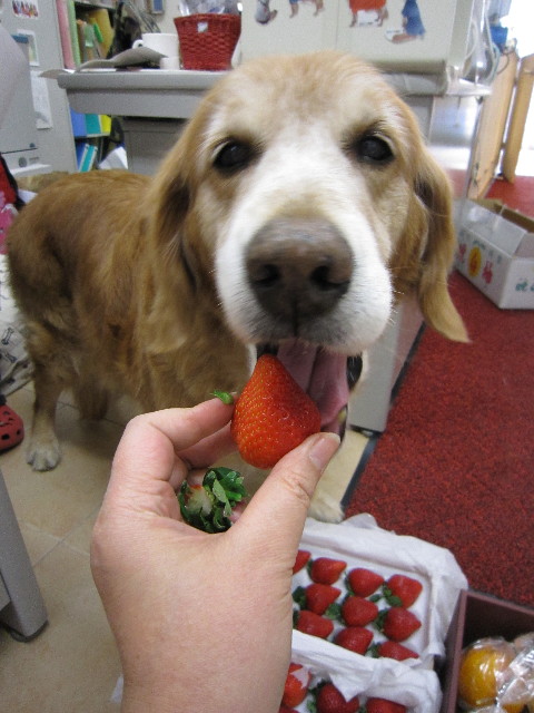 ファイル 1544-5.jpg