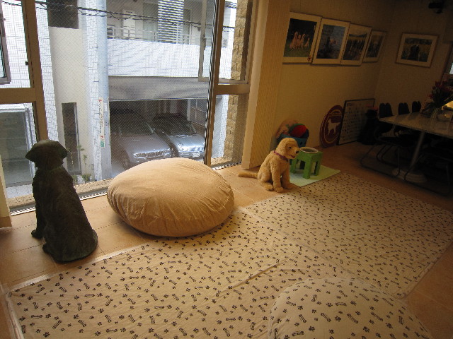 ファイル 1546-2.jpg