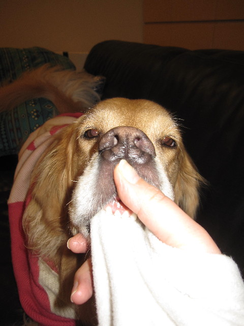 ファイル 1546-4.jpg