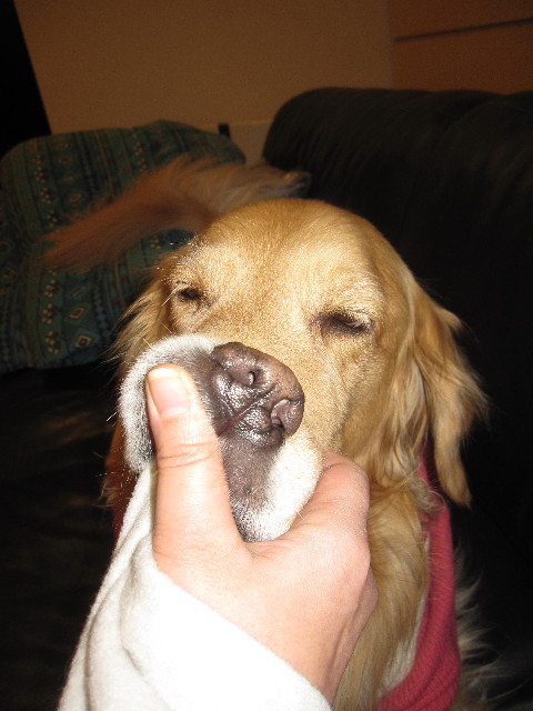 ファイル 1546-5.jpg