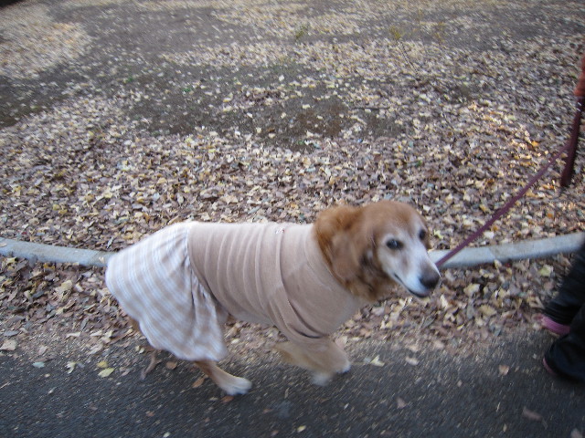 ファイル 1547-2.jpg