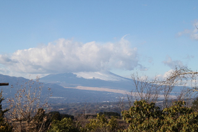 ファイル 1549-1.jpg