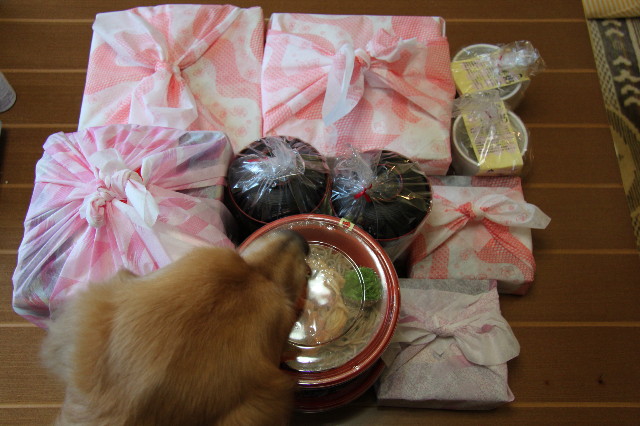 ファイル 1549-3.jpg