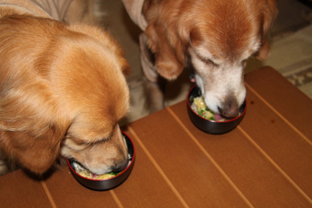 ファイル 1549-4.jpg