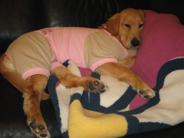 ファイル 155-1.jpg