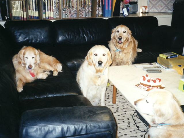 ファイル 155-2.jpg