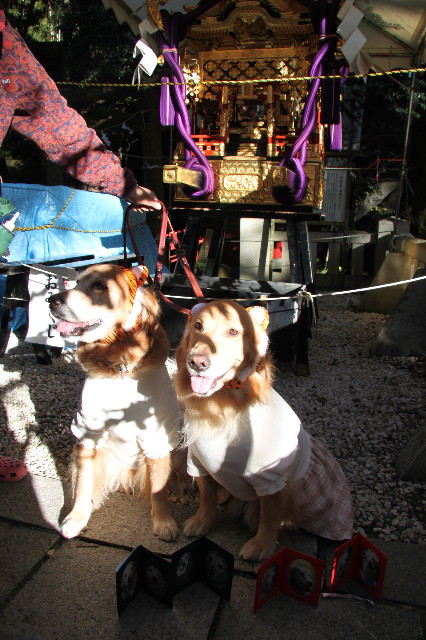 ファイル 1550-3.jpg