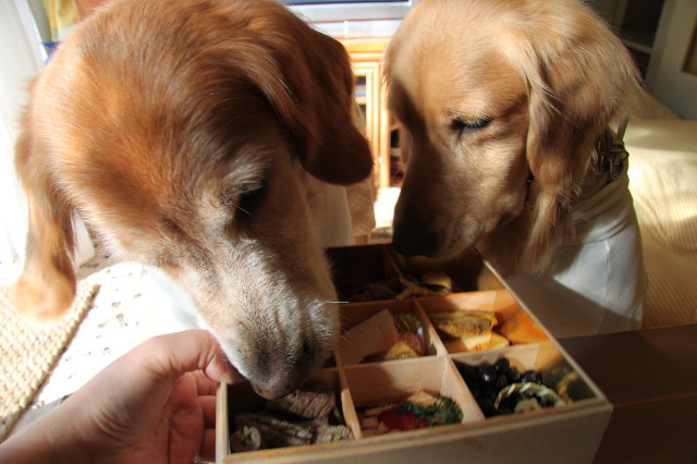 ファイル 1551-5.jpg