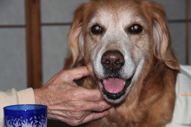 ファイル 1552-1.jpg