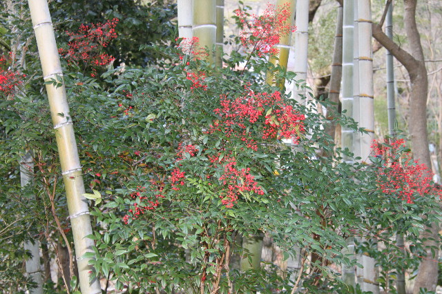 ファイル 1557-4.jpg