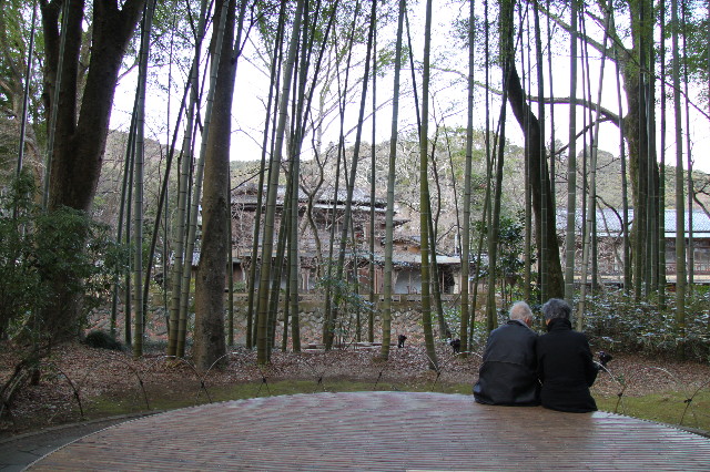 ファイル 1557-5.jpg