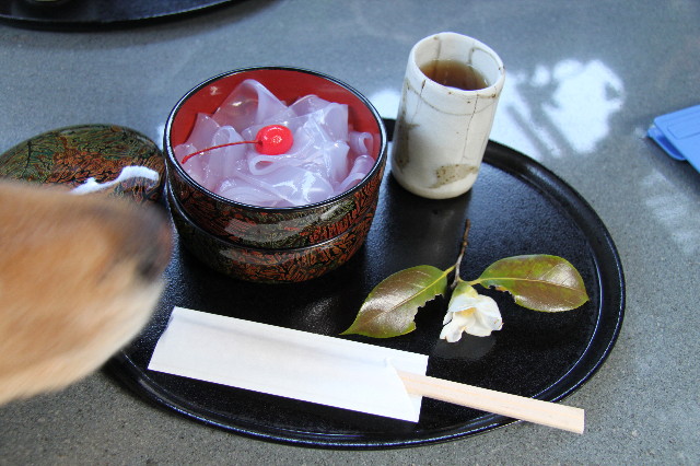 ファイル 1558-1.jpg