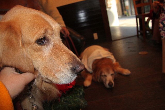 ファイル 1559-5.jpg