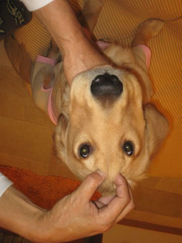 ファイル 156-2.jpg