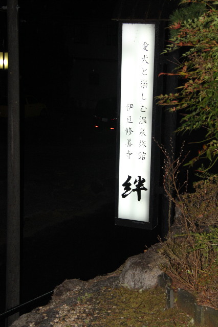 ファイル 1560-1.jpg