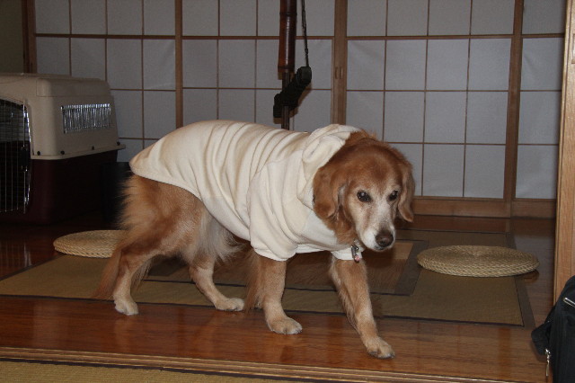 ファイル 1560-3.jpg