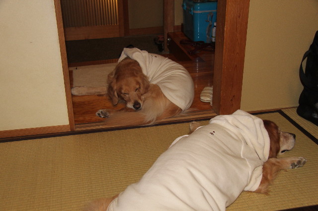 ファイル 1560-5.jpg