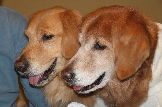 ファイル 1562-1.jpg