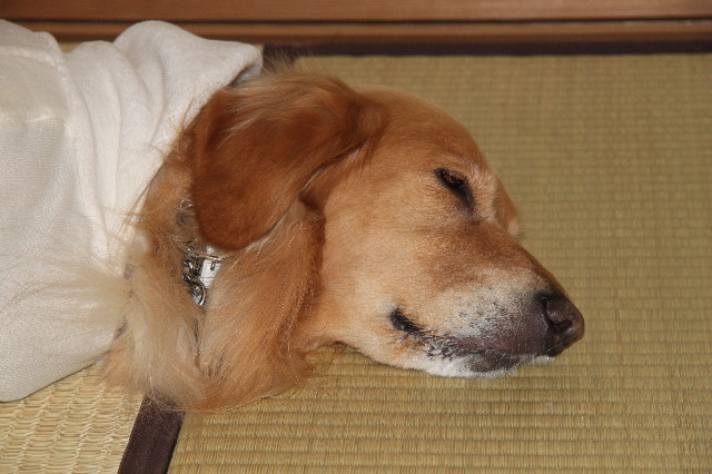 ファイル 1562-2.jpg