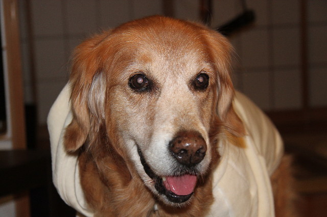 ファイル 1562-3.jpg