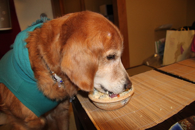 ファイル 1563-2.jpg