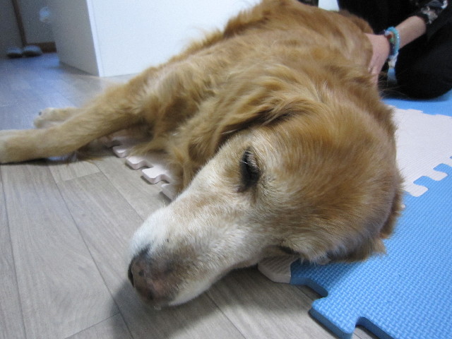 ファイル 1564-1.jpg