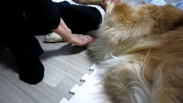 ファイル 1564-4.jpg