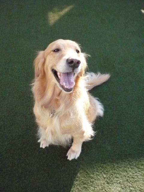 ファイル 1566-5.jpg