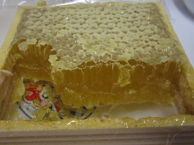 ファイル 1568-5.jpg