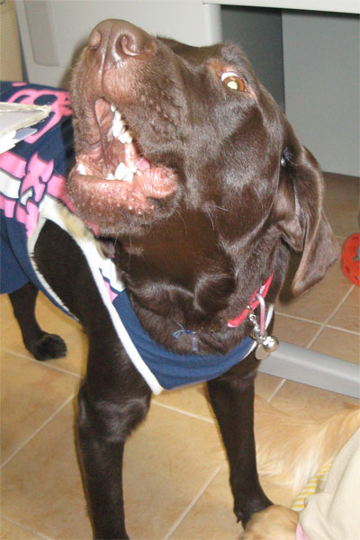 ファイル 157-3.jpg