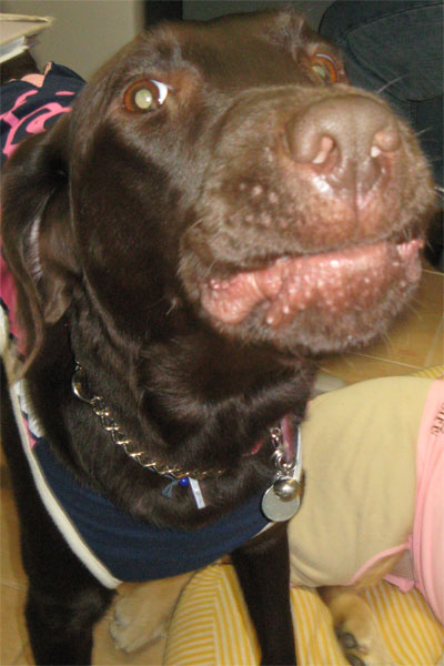 ファイル 157-4.jpg