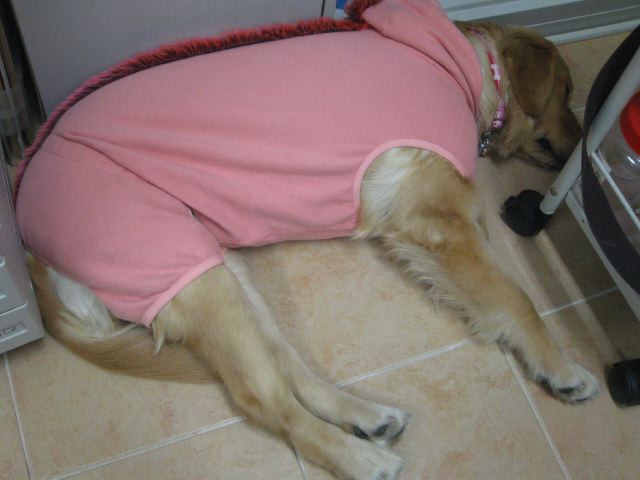 ファイル 157-5.jpg