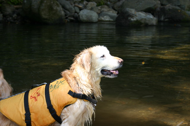 ファイル 1570-2.jpg