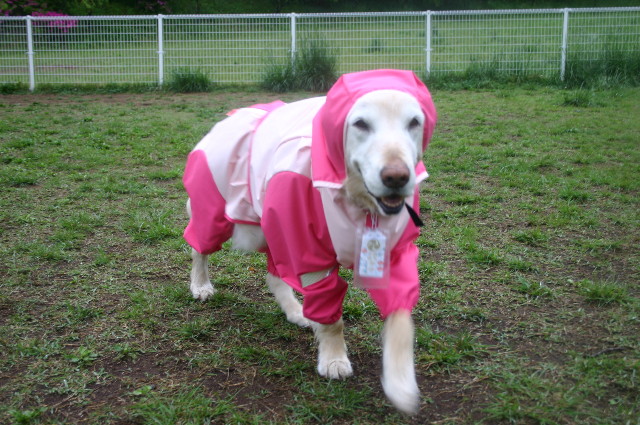 ファイル 1570-4.jpg