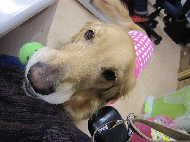 ファイル 1574-1.jpg