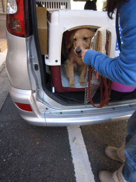 ファイル 1574-3.jpg