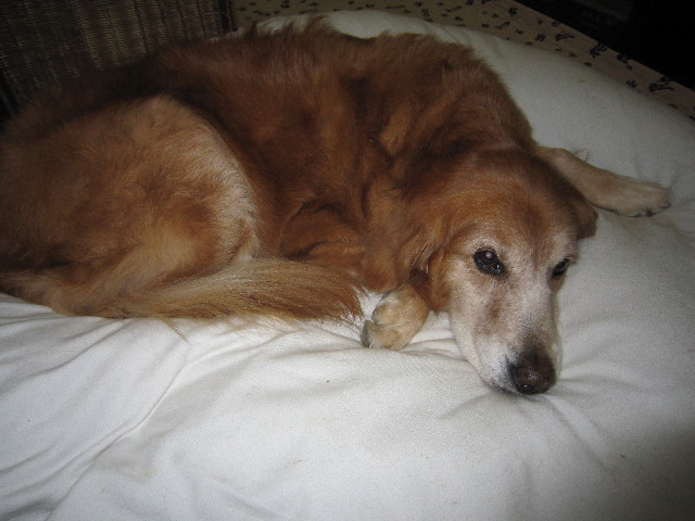 ファイル 1574-4.jpg