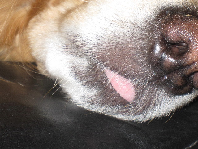 ファイル 1574-5.jpg