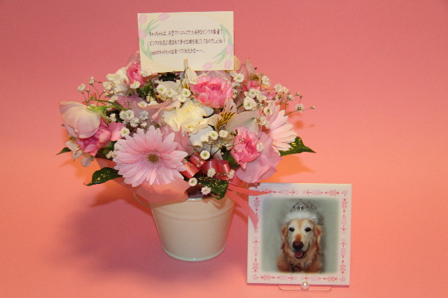 ファイル 1575-1.jpg